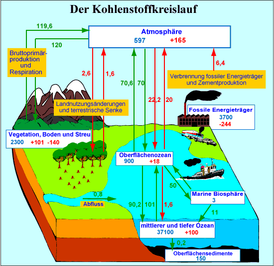 2712 Kohlenstoffkreislauf - CO2