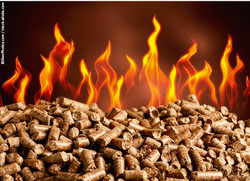 532 Holzpellets im Feuer / Foto: BillionPhotos.com / stock.adobe.com
